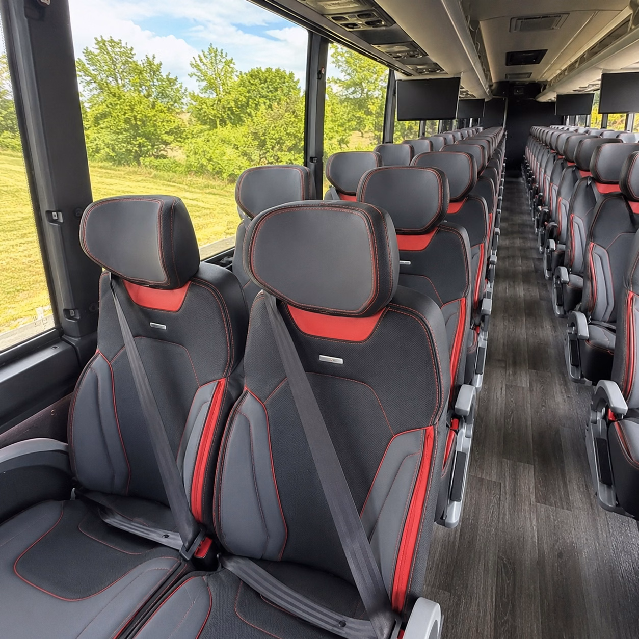 compare buses in minutes not days